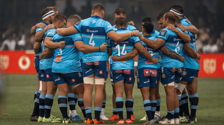 5 key talking points as SA teams return to Champions Cup and EPCR action