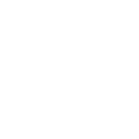 Brumbies