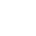 Miami Sharks