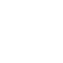 Fijian Drua