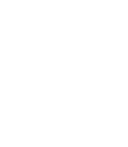 Lions